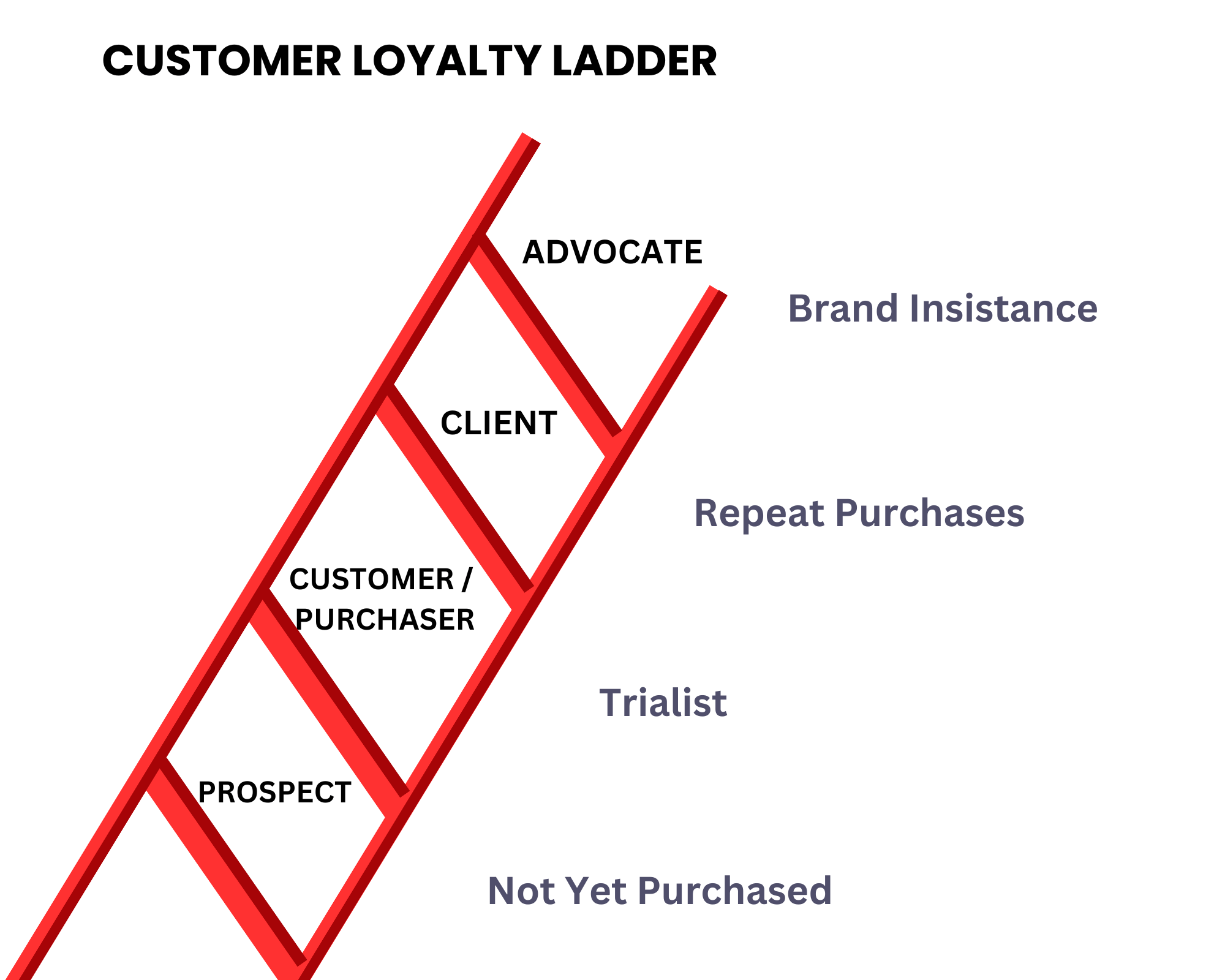 Marketing Support